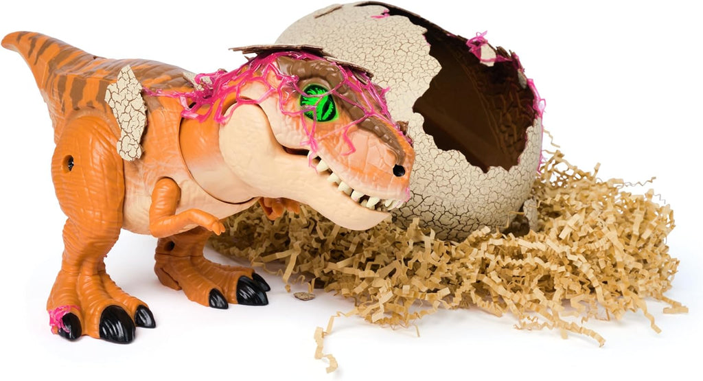Hatch & Train Dino Egg Toy