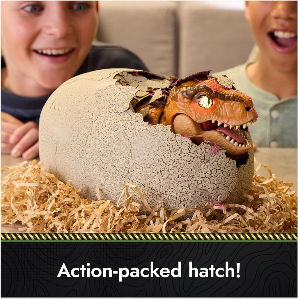 Hatch & Train Dino Egg Toy